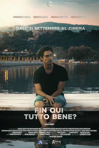 Póster de Fin qui tutto bene?