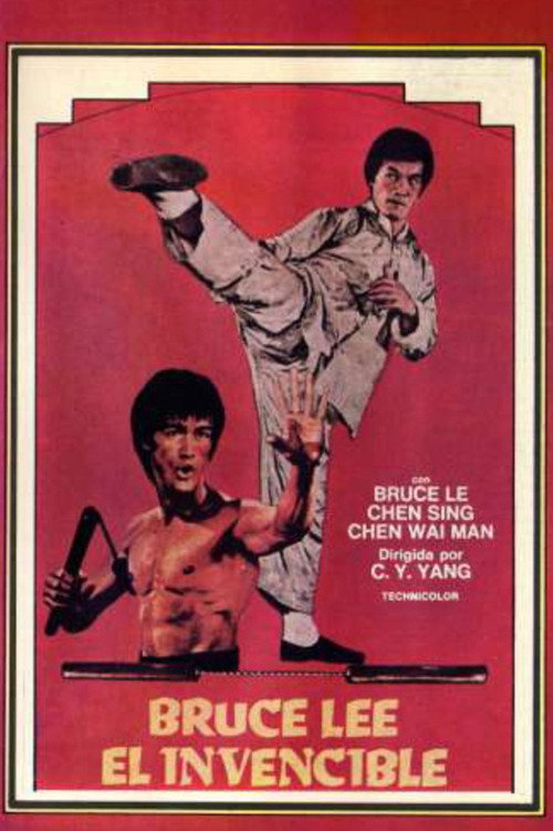 Póster de 威震天南