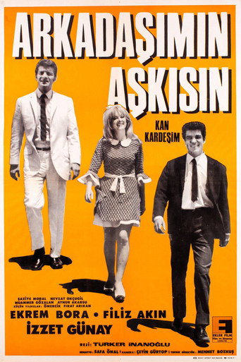 Póster de Arkadaşımın Aşkısın