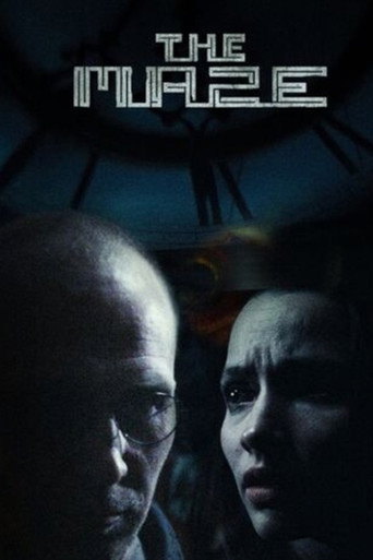 Póster de The Maze