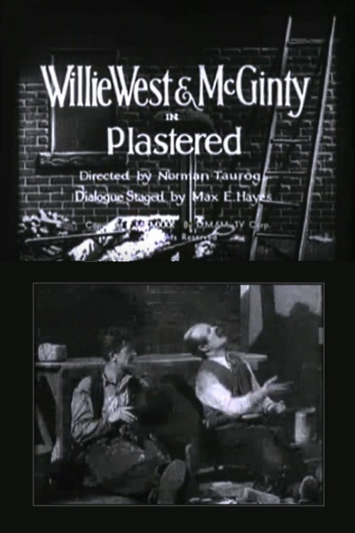 Póster de Plastered