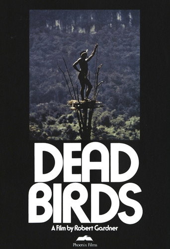 Póster de Dead Birds