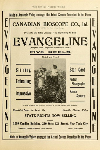 Póster de Evangeline