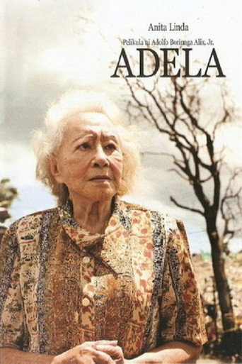 Póster de Adela