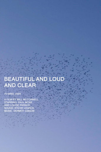 Póster de Beautiful and Loud and Clear