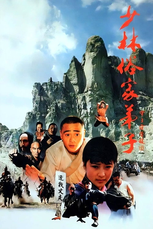 Póster de 少林俗家弟子