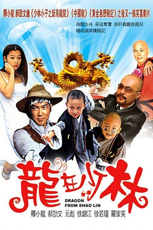 Póster de 龙在少林