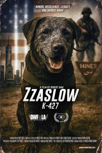 Póster de Zzaslow K-427