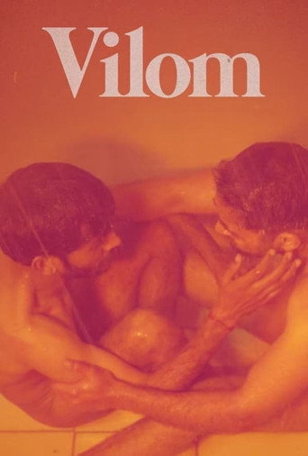 Póster de Vilom