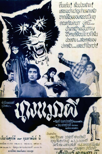 Póster de นางแมวผี