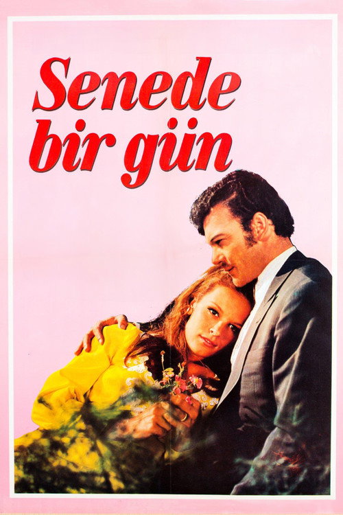 Póster de Senede Bir Gün