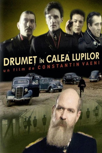 Póster de Drumeț în calea lupilor