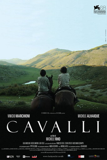 Póster de Cavalli