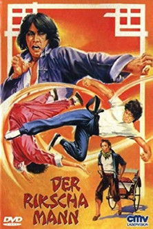 Póster de 十二潭腿