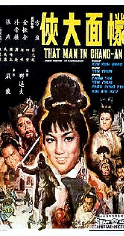 Póster de 幪面大俠