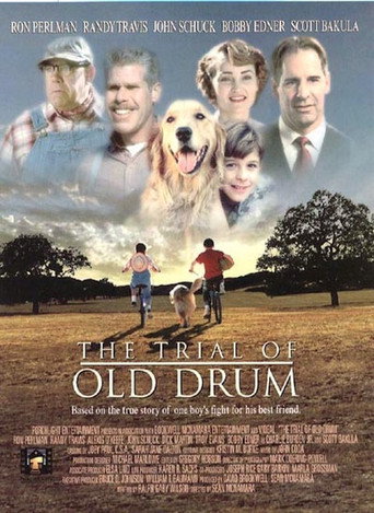 Póster de The Trial of Old Drum