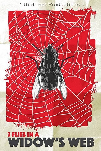 Póster de 3 Flies in a Widow's Web
