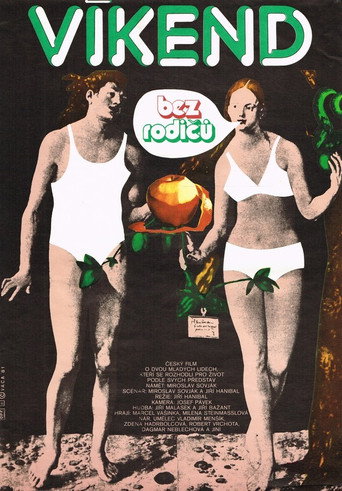 Póster de Víkend bez rodičů