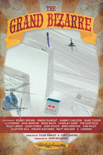 Póster de The Grand Bizarre