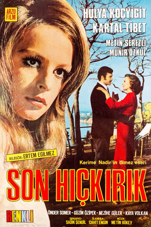 Póster de Son Hıçkırık