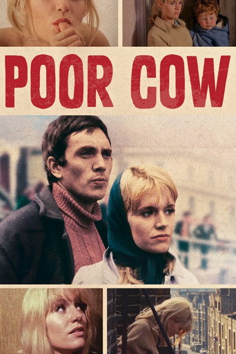 Póster de Poor Cow