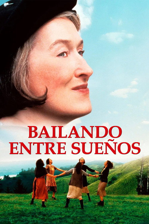 Póster de Bailando entre sueños