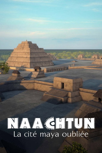 Póster de Naachtun : La Cité maya oubliée