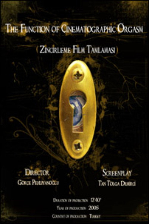 Póster de Zincirleme Film Tamlaması