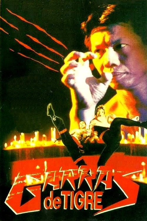 Póster de Fearless Tiger