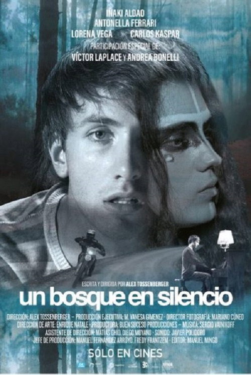 Póster de Un bosque en silencio