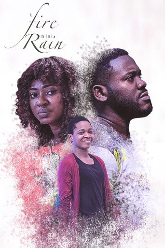 Póster de A Fire In The Rain