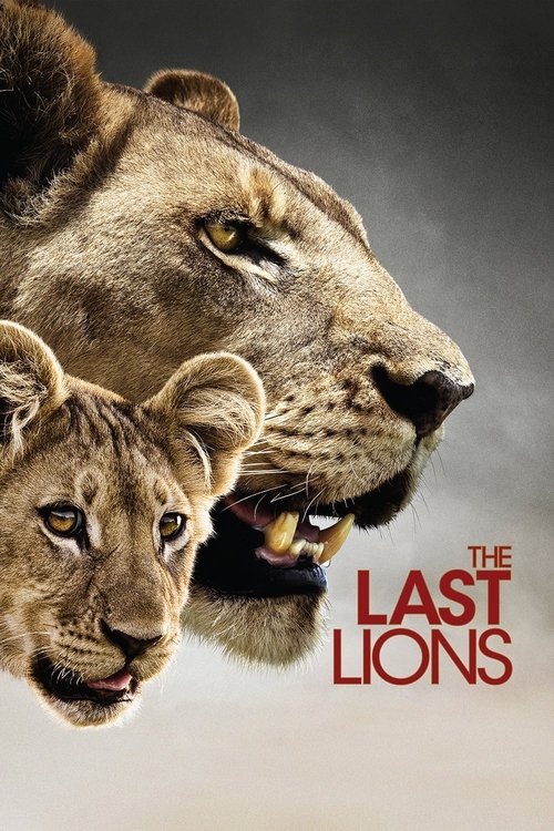 Póster de The Last Lions