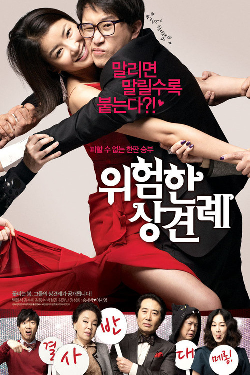 Póster de 위험한 상견례