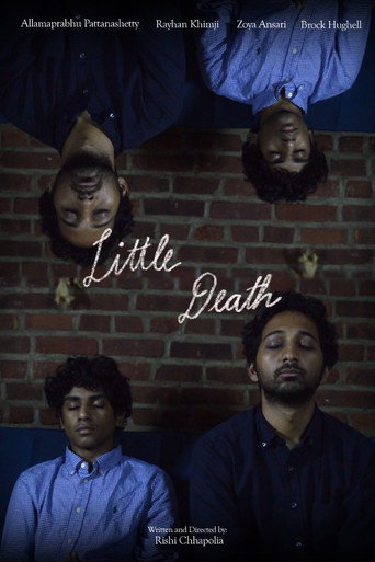 Póster de Little Death