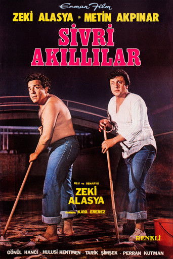 Póster de Sivri Akıllılar
