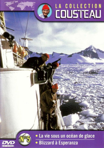 Póster de La collection Cousteau N°5 | La vie sous un océan de glace | Blizzard à Esperanza