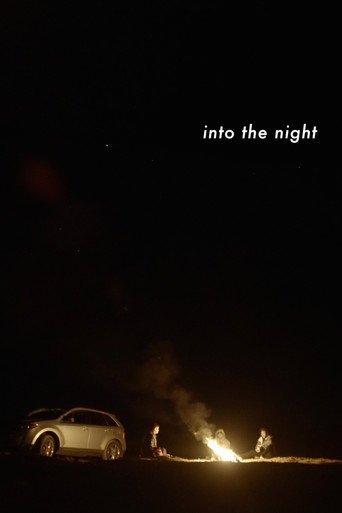 Póster de Into the Night