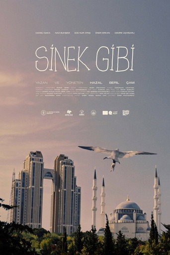 Póster de Sinek Gibi