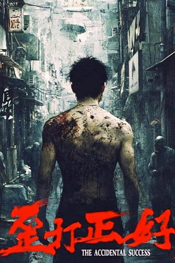 Póster de 歪打正好