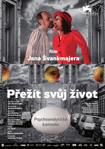 Póster de Přežít svůj život