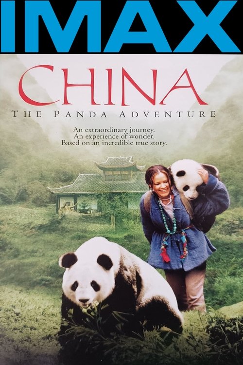 Póster de China: The Panda Adventure