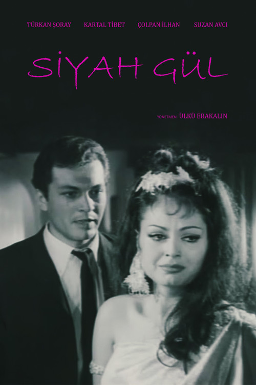 Póster de Siyah Gül