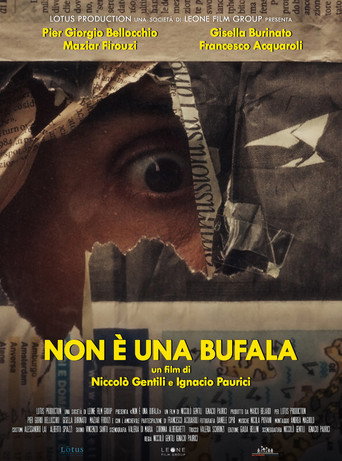 Póster de Non è una bufala