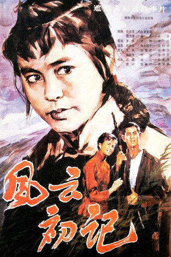 Póster de 风云初记