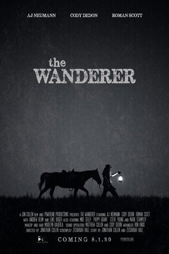 Póster de The Wanderer
