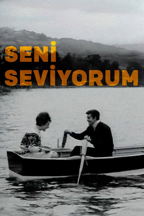 Póster de Seni Seviyorum