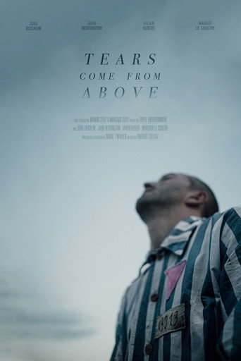 Póster de Tears Come from Above