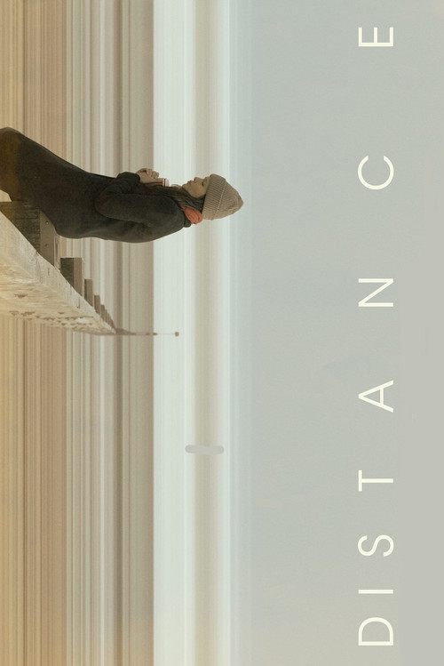 Póster de Distance