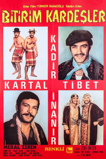 Póster de Bitirim Kardeşler