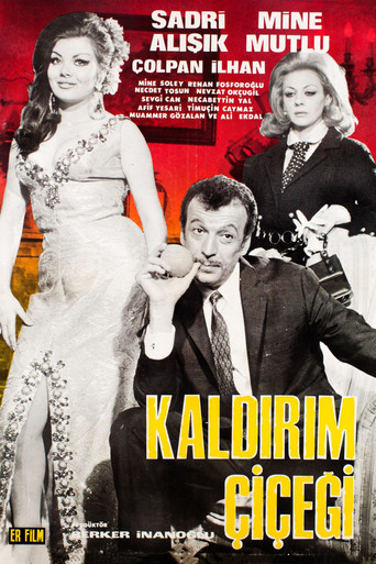 Póster de Kaldırım Çiçeği